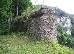 Zamek Ojców