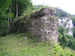 Zamek Ojcw