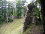 Zamek Ojcw