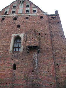 Zamek w Olszytnie