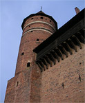 Zamek w Olsztynie
