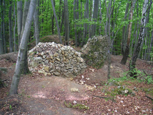 Zamek Ostrężnik