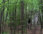 Zamek Ostrnik