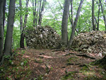 Zamek Ostrnik