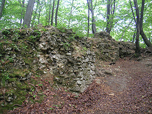 Zamek Ostrężnik