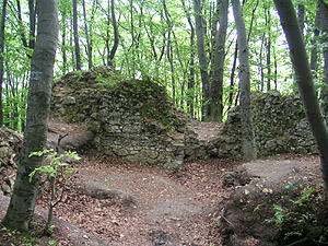 Zamek Ostrężnik