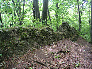 Zamek Ostrężnik