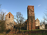 Zamek Prochowice
