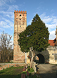 Zamek Prochowice