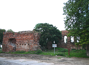 Zamek Radziki Duże