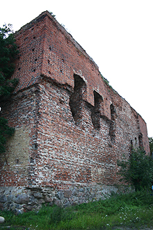 Radziki Duże