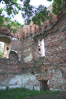 Radziki Duże