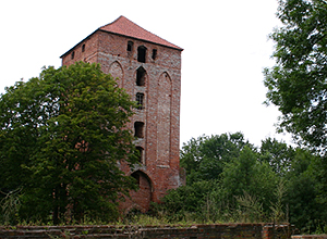 Zamek Rogóźno
