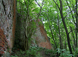 Zamek Rogno