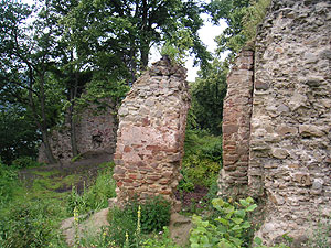Zamek Rożnów