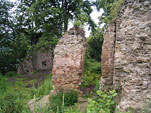 Zamek Ronw