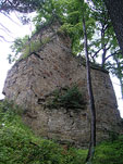 Zamek Ronw