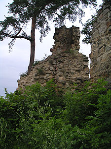 Zamek Rożnów