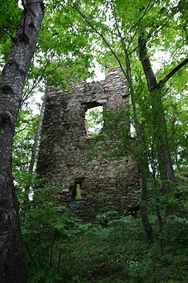 Zamek Rybnica