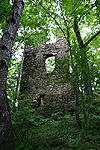 Zamek Rybnica