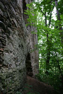 Zamek Rybnica