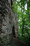 Zamek Rybnica