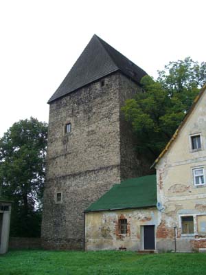 Zamek Siedlęcin
