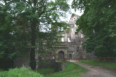Zamek Świny