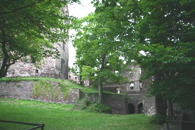 Zamek Świny