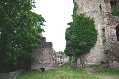 Zamek Świny