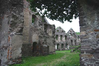 Zamek Świny