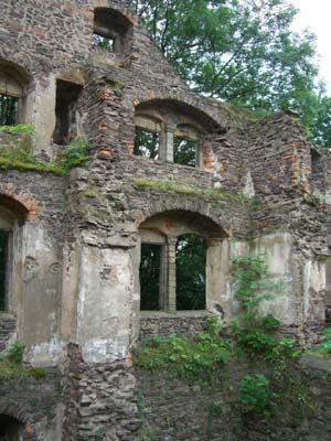 Zamek Świny