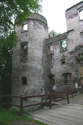 Zamek Świny