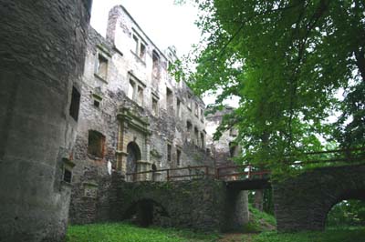 Zamek Świny