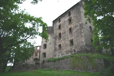Zamek Świny