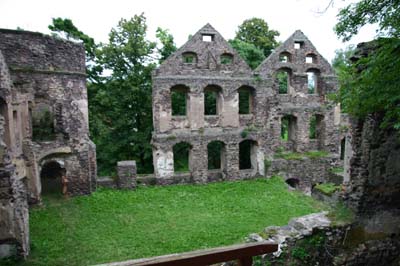 Zamek Świny
