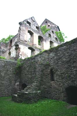 Zamek Świny