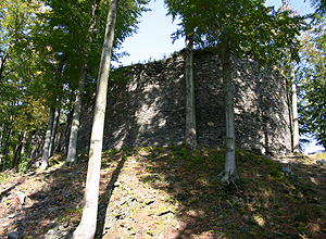 Zamek Szczerba