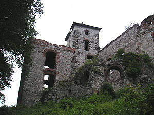 Zamek Tczyn