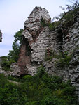 Zamek Tczyn