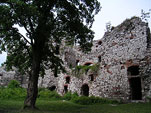 Zamek Tczyn
