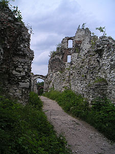 Zamek Tczyn