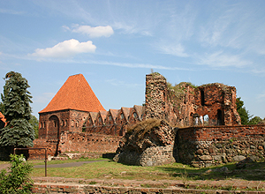 Zamek Toruń