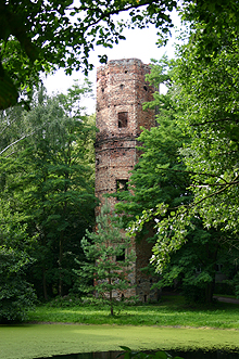 Zamek Wyszyna
