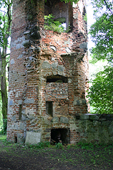 Zamek Wyszyna