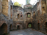 Zamek Zbkowice lskie