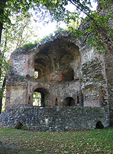 Zamek Zbkowice lskie