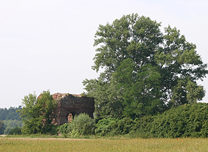 Zamek Złotoryja